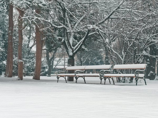Comprendre l'importance de la santé émotionnelle